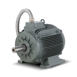 GM2ED 200 L 2b