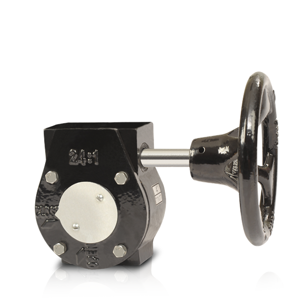 WORM GEAR